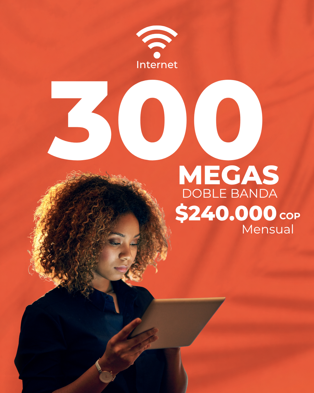 PLAN EMPRESARIAL 300 MEGAS